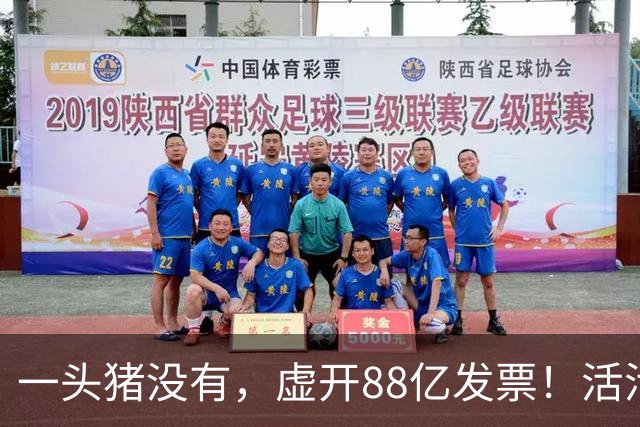 一头猪没有，虚开88亿发票！活活套走国企6000万
