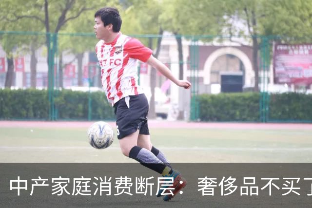 中产家庭消费断层：奢侈品不买了，但菜钱一分没少，钱花在哪了？
