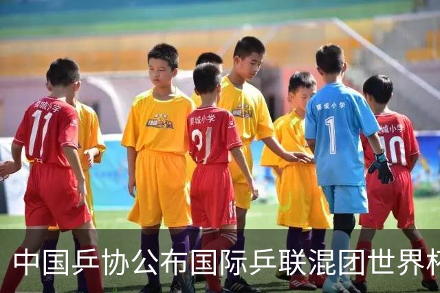 中国乒协公布国际乒联混团世界杯选拔办法-国际在线