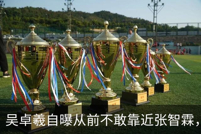 吴卓羲自曝从前不敢靠近张智霖，觉得自己会被他欺负，靠披哥建立私交