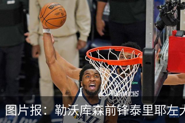图片报：勒沃库森前锋泰里耶左大腿肌肉受伤，预计缺席至12月