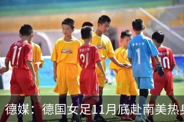 德媒：德国女足11月底赴南美热身，连战阿根廷、秘鲁