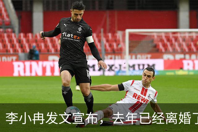 李小冉发文宣布，去年已经离婚了，前夫徐佳宁的千万债务和她无关