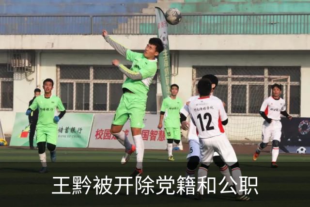 王黔被开除党籍和公职